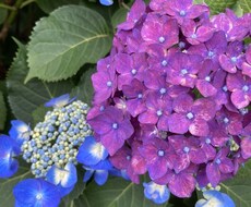 産業カウンセラーがあなたのお悩みを一緒に解決します イメージ1