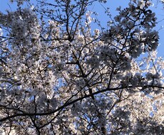 誰かに話したい、でも話せないお悩みお待ちしてます イメージ1