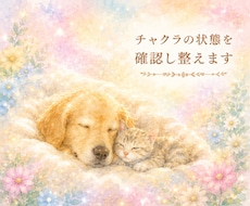 ペットさんのチャクラ状態を確認し整えます 7つのチャクラを確認し、今必要なエネルギーケアをお届け