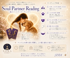 ペットとの魂の繋がりをみます イメージ1