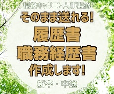 そのまま送れる！履歴書・職務経歴書を作成します イメージ1