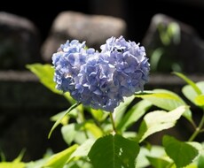 ひとりじゃない　そばにます イメージ1