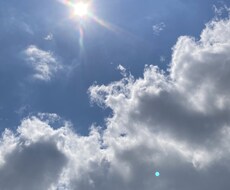 自然が好きな方々に空模様、植物の写真を提供します イメージ1