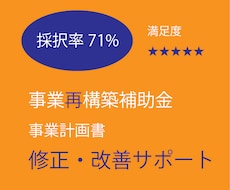 不採択の事業再構築補助金の計画書改善を行います 採択実績のある経験豊富なコンサルタントが行います。