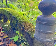 幸せ配達人♡相談者のお話をお聞きします イメージ1