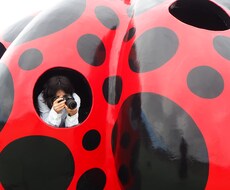 ロゴを作成します イメージ1