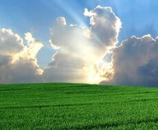 今悩んで苦しんでる方、助けます イメージ1