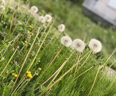 何でも聞きます イメージ1