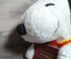易学を使って生年月日から読み解いていきます イメージ1