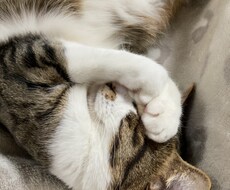 子育ての困りを教えてください。対応を一緒に考えます イメージ1