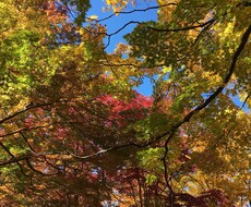 今誰かに話したいをわたしがききます イメージ1