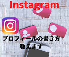 Instagramのプロフィールの書き方教えます イメージ1