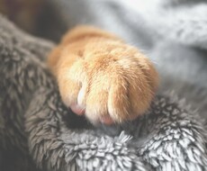 対人恐怖、パニック障害、鬱になっても頑張れてます イメージ1