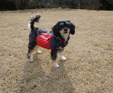 アウトドアをサポートいたします。 イメージ1