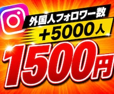 インスタグラムのフォロワー数+5,000増やします イメージ1
