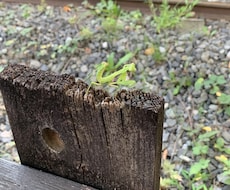 ちょこっと！あの人のお気持ちみます イメージ1