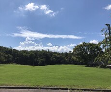 就職活動のモヤモヤを一緒に整理します イメージ1