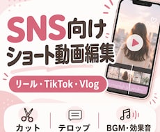 SNS向けショート動画を編集します イメージ1
