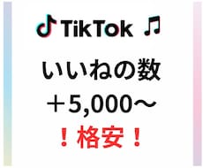 TikTokいいねの数5,000～増やします SNSのプロがTikTokのいいね数増を支援します！