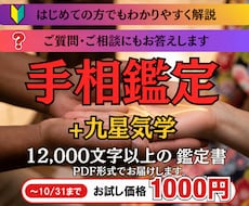 手相で10年先の運命を読み解きます 本格手相。 12,000文字の圧倒的ボリュームで鑑定。