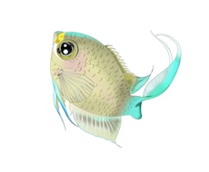 リアルで可愛い生き物イラスト描きます イメージ1