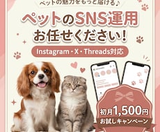 ペット関連のSNS運用を代行します イメージ1
