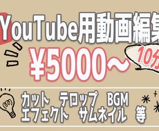 YouTube向け動画制作承ります イメージ1