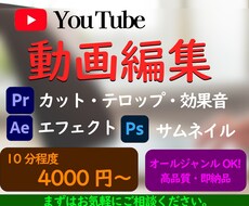 10分程度の動画のカット、テロップ作業を提供します イメージ1