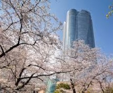 都内のスポットの写真撮ってきます イメージ1