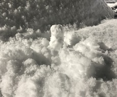 宇宙から届くあなたへの一言。おみくじ占います イメージ1