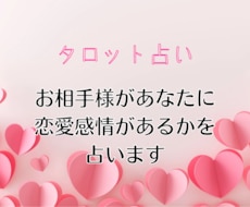 ワンコイン★お相手様の恋愛感情の有無を占います あなたに恋愛感情があるかどうかタロットで占います