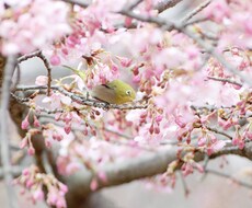 どんなお話しでも親身になってお聞きします イメージ1