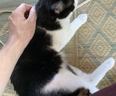 なんでもお話し聞きます イメージ1