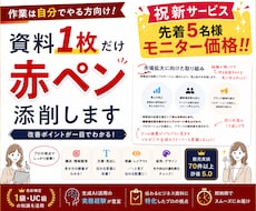 あなたの大切な資料1枚を赤ペン添削します イメージ1