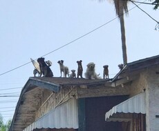 お悩み事や心配ごと聞きます イメージ1
