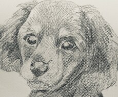 ペットと飼い主さんの似顔絵描きます イメージ1