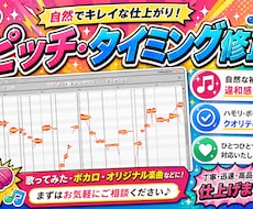 ピッチ・タイミング修正を承ります イメージ1