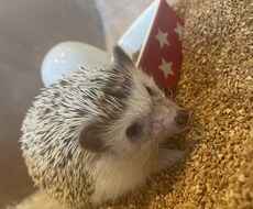 お悩み相談をします イメージ1