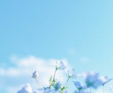 今あなたに必要な癒しのヒーリングをお届けします イメージ1