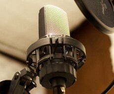 あなたの歌声と楽曲をミックス（歌入れ）します あらゆる楽曲をあなたの色に染め上げます！