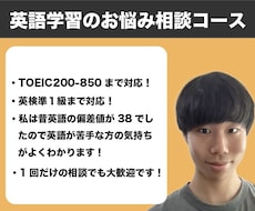 純ジャパが英語学習に対するお悩みを相談いたします 勉強法の改善によって大幅に学習効率が変わります！