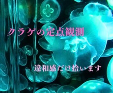 クラゲの定点観測現場の違和感だけ拾います イメージ1