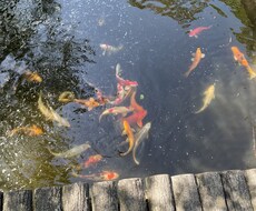 今あなたが考えてるそれらをしたほうがよいのかみます イメージ1