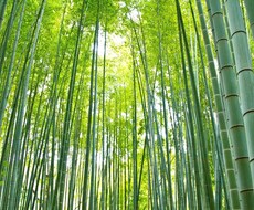 中国語検定上級者が中国語を教えます お気軽になんでも相談してください