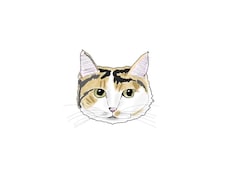 飼い猫ちゃんの顔似顔絵描きます イメージ1