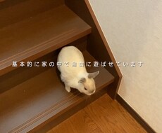 動画に字幕をお付けいたします イメージ1