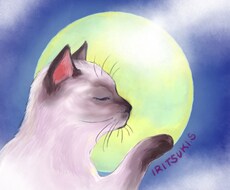 素直になれる＊癒しのタロット占い＊致します