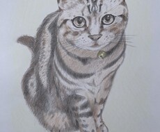 愛するペットのイラストを描きます イメージ1