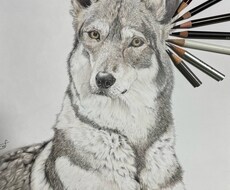 あなたのペット(爬虫類なども)リアルに描きます イメージ1