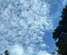 愚痴・相談・話し相手になります イメージ1